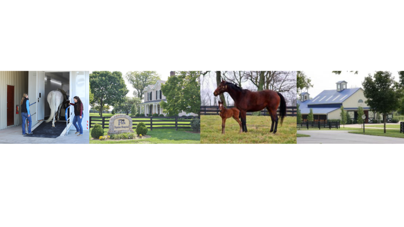 Extern - Park Equine Hospital, 1. image