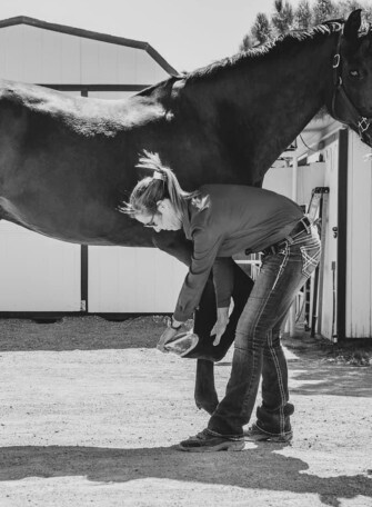 Associate Veterinarian, Desert Pines Equine Medical & Surgical Center, 1. image
