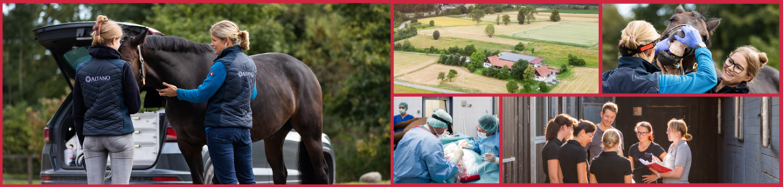 Praktikum für Studenten (m/w/d) der Veterinärmedizin, 2. Bild