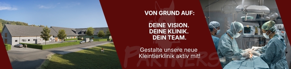 Tierarzt (m/w/d) für unsere Kleintierklinik, 3. Bild