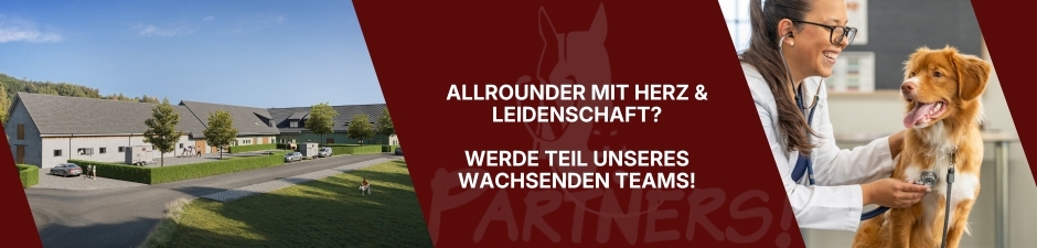 Tiermedizinische Fachangestellte (m/w/d) für unsere Kleintierklinik, 3. Bild