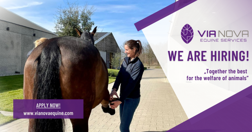 Internship Veterinarian, 2. image