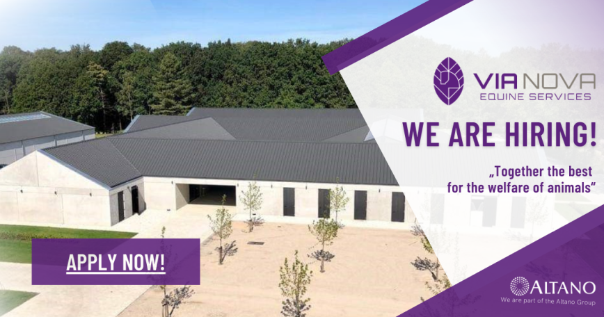 Head of Orthopedics, Lead Equine Veterinarian, 3. image