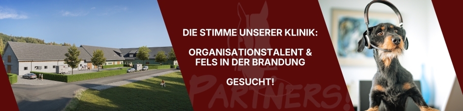 Mitarbeiter (m/w/d) für unser Telefon- & Empfangsteam, 1. Bild