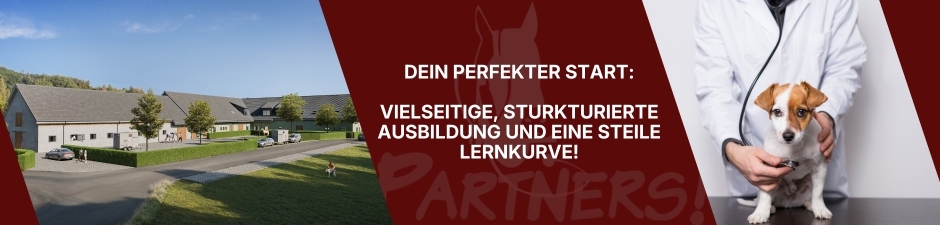 Tierarzt als Anfangsassistent (m/w/d) für unsere Kleintierklinik, 1. Bild