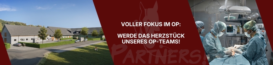 Tiermedizinische Fachangestellte (m/w/d) - Schwerpunkt OP-Assistenz & Anästhesie für unsere Kleintierklinik, 1. Bild