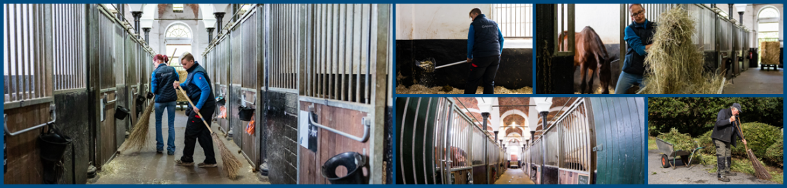Stall- und Hofmitarbeiter (m/w/d), 1. Bild