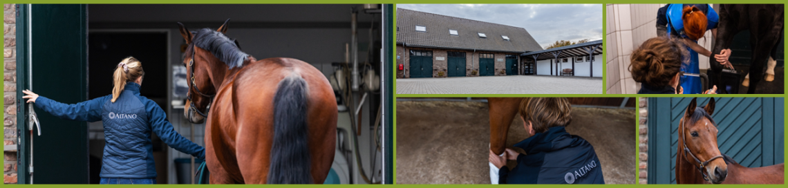 Ausbildung zur Tiermedizinischen Fachangestellten / TFA (m/w/d), 2. Bild